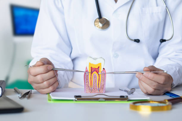 Best Tooth Infection Emergency Dentist  in Rapid City, MI